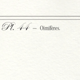 Set of 2 framed chimera lithography animal engraving