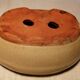Bonzai Enameled Terracotta Pot Indoor Plant
