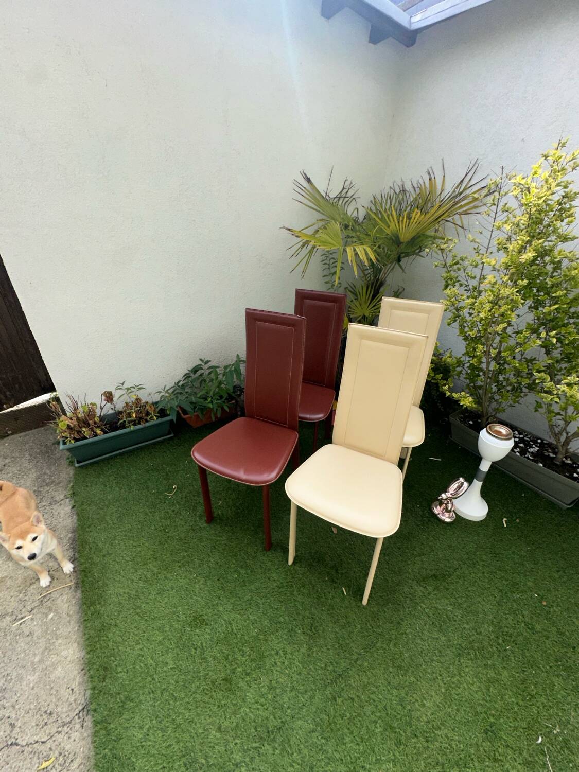 Chaises en Cuir Italienne