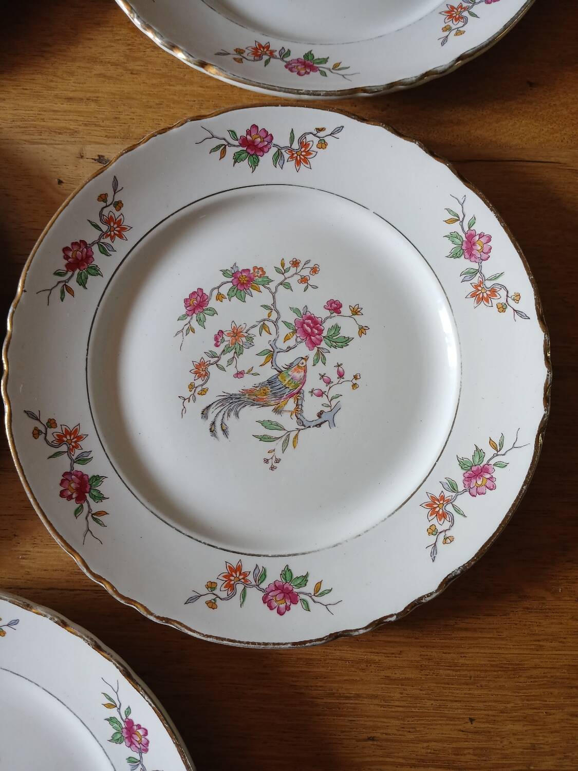 5 old Moulin des loups flat plates