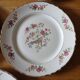 5 old Moulin des loups flat plates