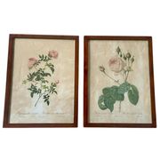 Pair of pink framed reproductions of PJ Redouté