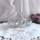 Saleron molded glass 2 compartments