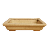 Pot à bonzaï