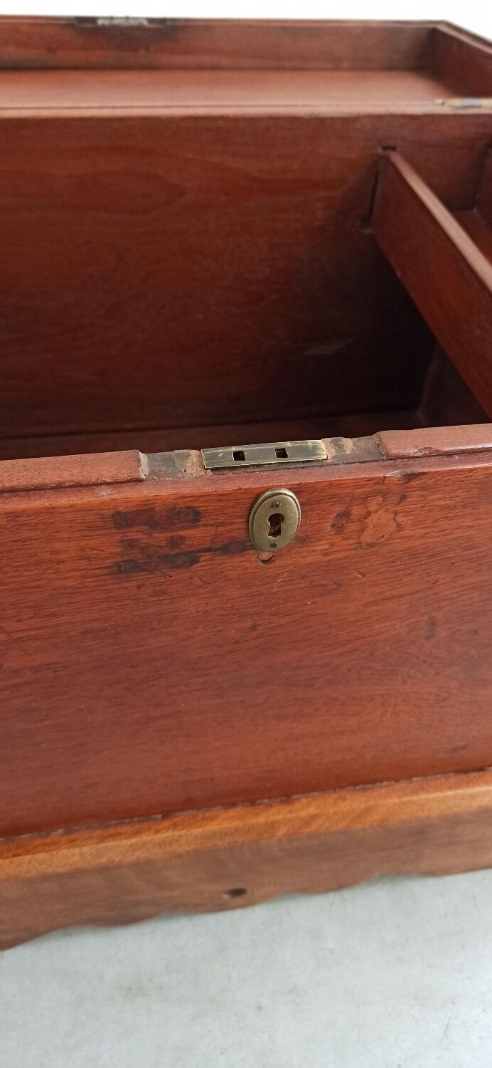 Vintage chest in exotic wood