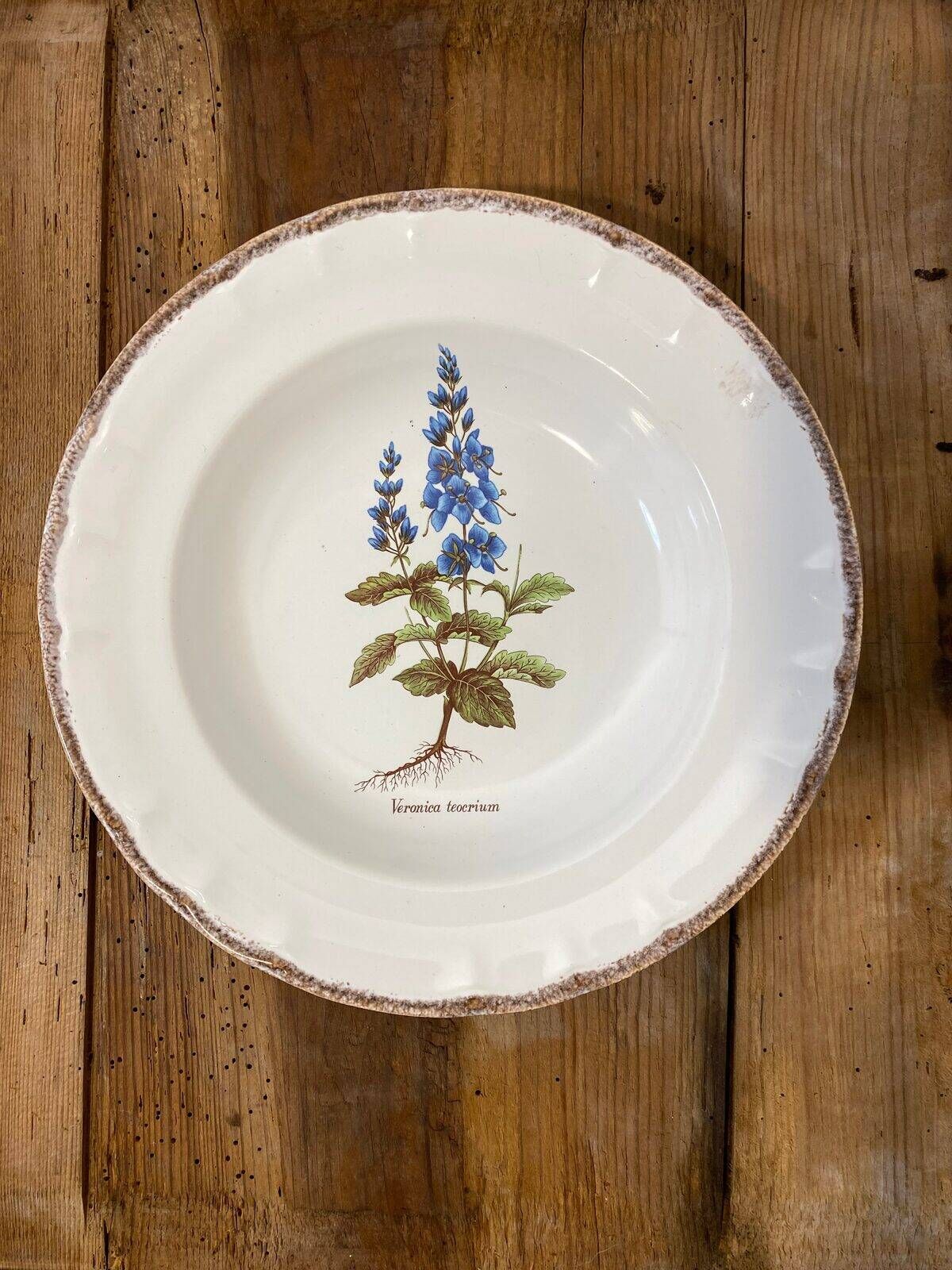 Set of 5 botanical deep plates, ADP Haute Provence