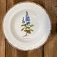 Set of 5 botanical deep plates, ADP Haute Provence