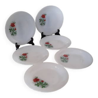 Dessert plates floral pattern Arcopal vintage