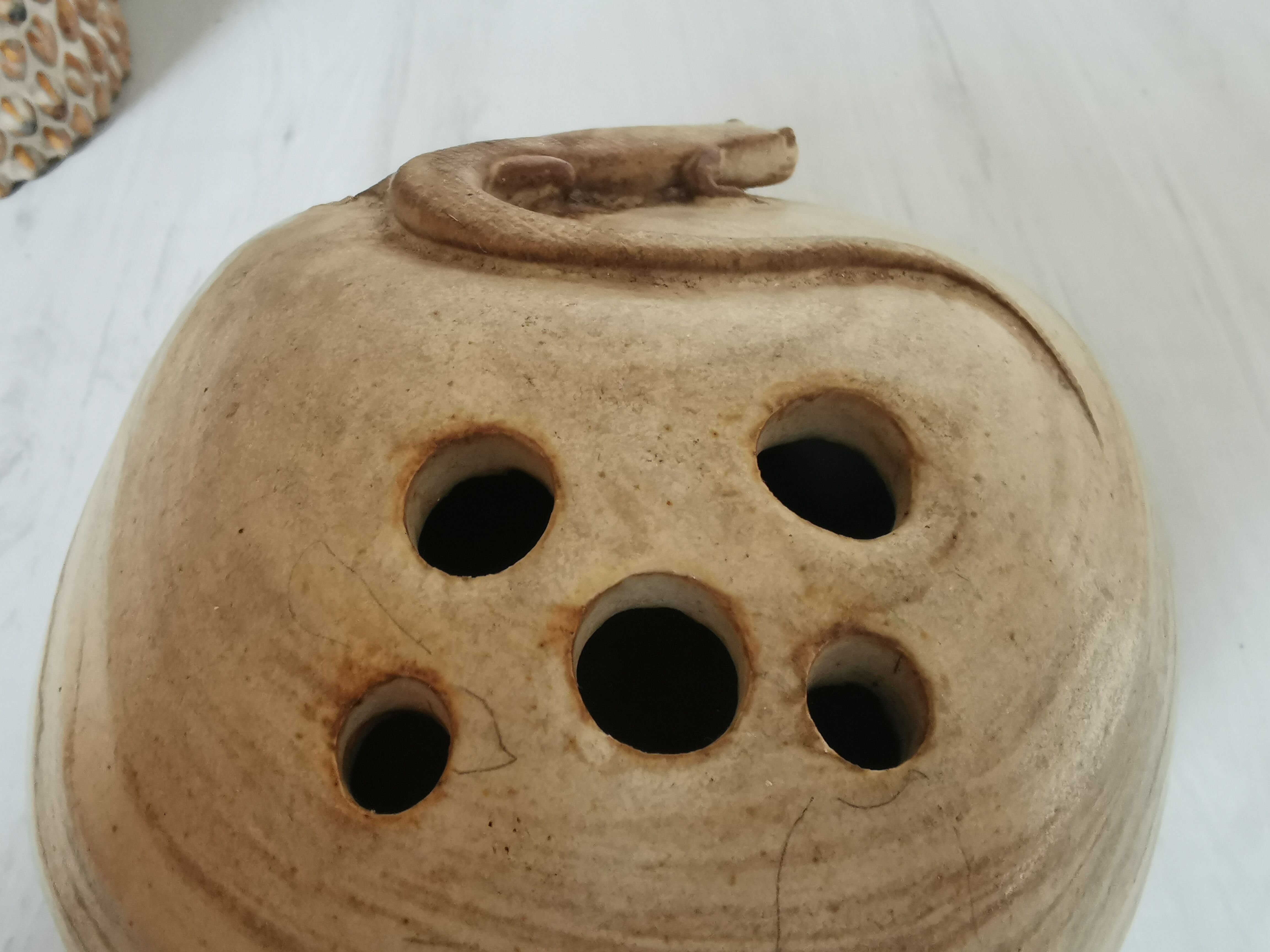 Pique flowers sandstone lizard