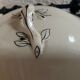 Antique Wedgwood cloche dish