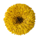 Yellow Jujuhat 80 cm