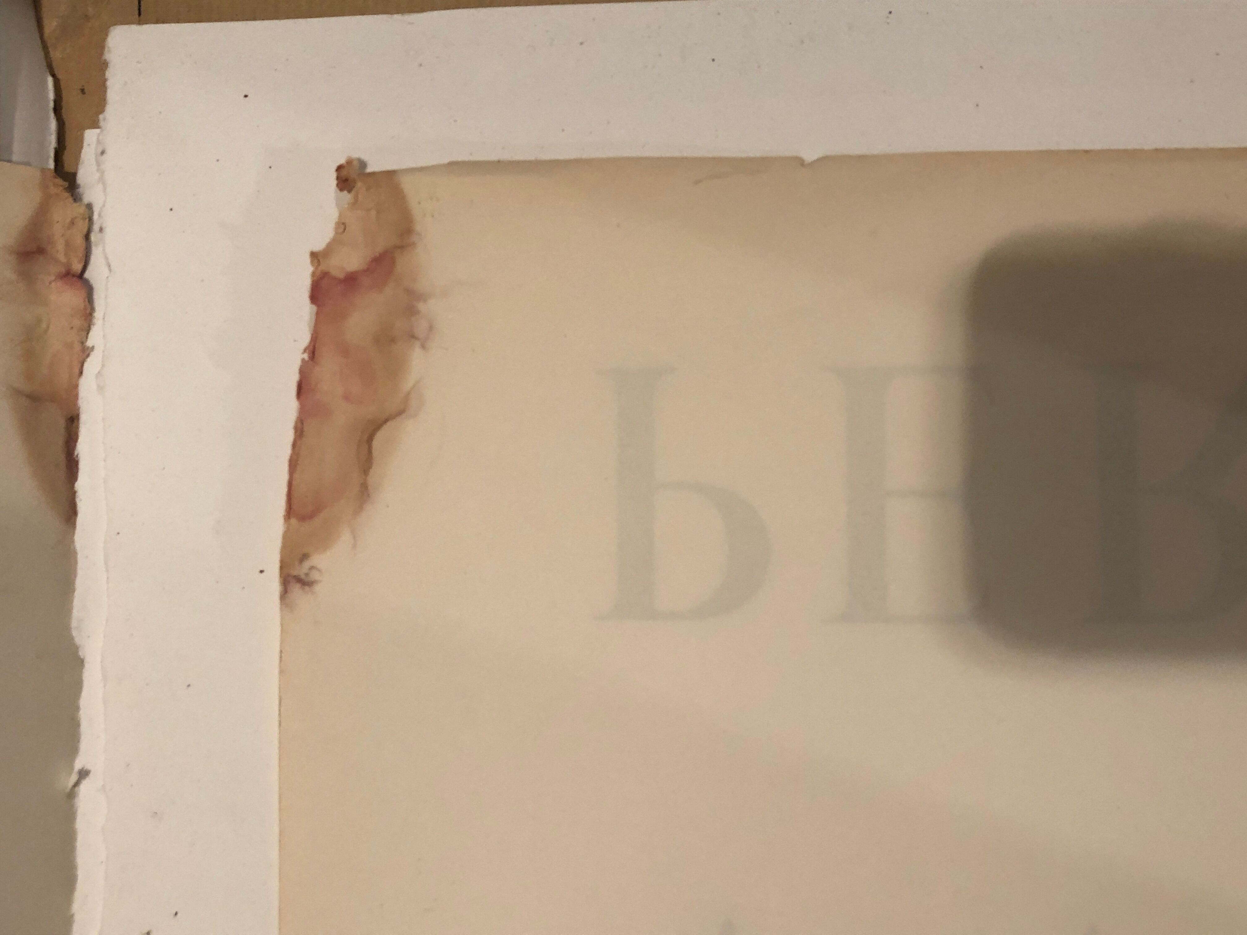 Typographic collection poster