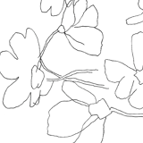 Cosmos 2