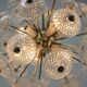Unique set of four design Space Age dandelion / Sputnik chandeliers, 1970s