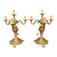 Luxurious pair of antique gilded bronze candelabra in the exquisite style of Louis XV.