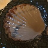 Longchamp barbotine shell tray