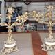 Pair of Louis XV Rocaille Style Candle Holders in Gilded Bronze and Marble