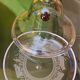 Candy box - crystal dome cloche