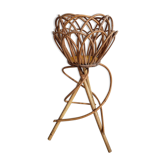 Rattan indoor planter