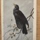 Old engraving of a bird - giacomelli and huyot - le merle -