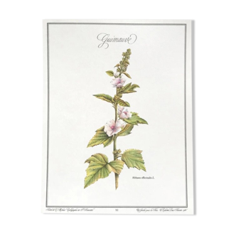 Botanical board the marshmallow