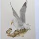 Planche ancienne oiseaux Années 1960 - Goeland Argenté .Illustration nature