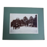 Old photograph 1900 stagecoach, horses and coachman State Railways