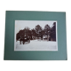 Old photograph 1900 stagecoach, horses and coachman State Railways