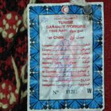 Hand-knotted Red Tunisian Ethnic Berber Wool Rug Margoum