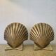 Pair of golden shell bookends
