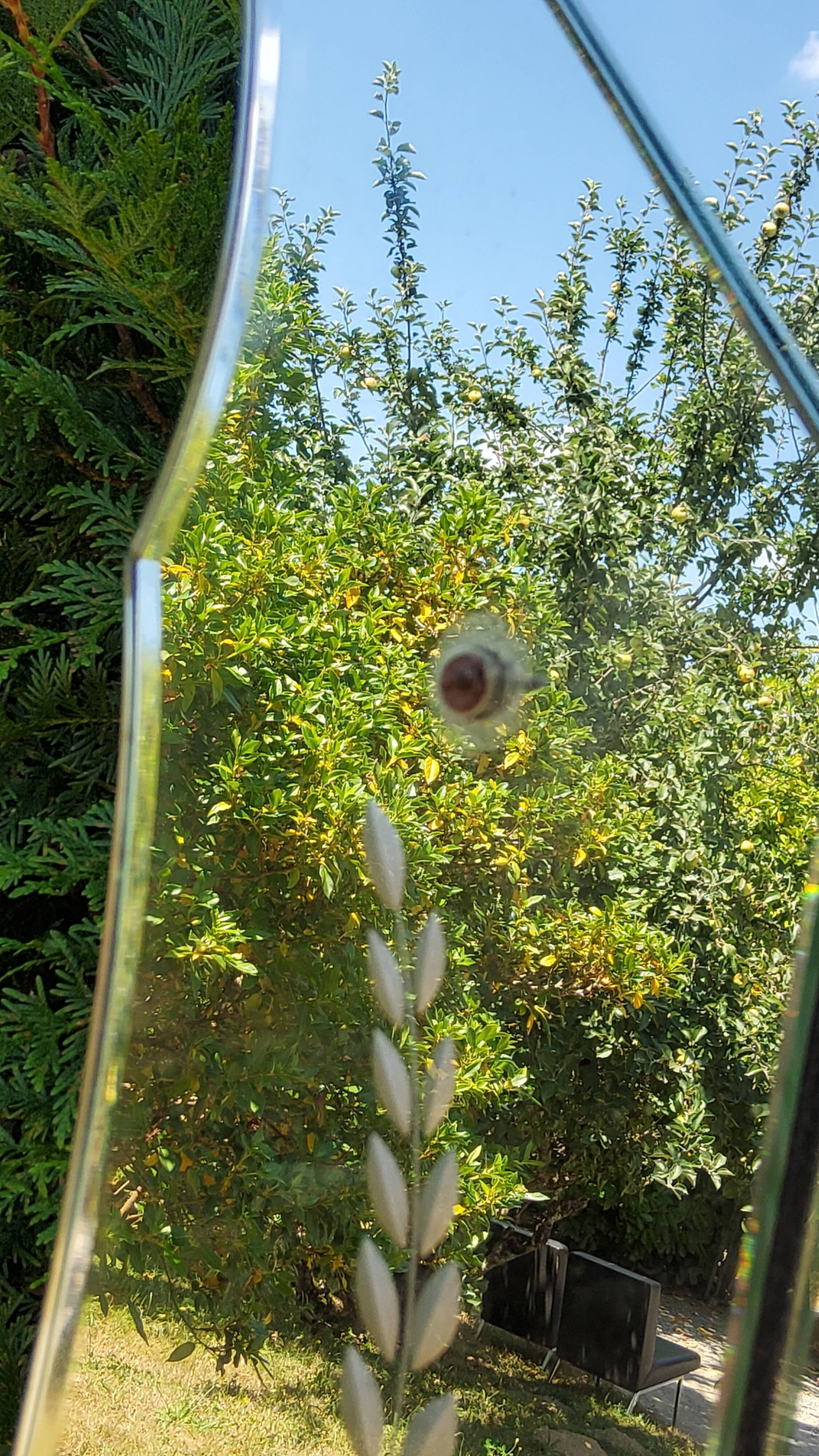 Venetian mirror of the 50s 94cm