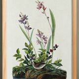 Poster about the Field Bunting, based on an old engraving from 1827.