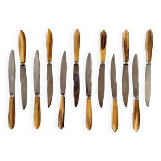 Coffret ancien avec 12 couteaux en acier inoxydable et manches en bois de cerf des années 70