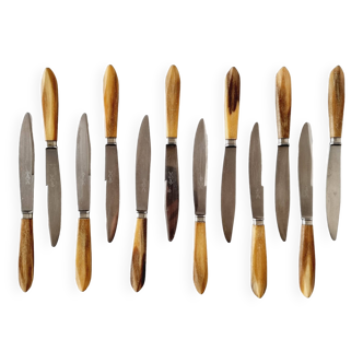 Antique box with 12 stainless steel knives and deer antler handles from the 70s