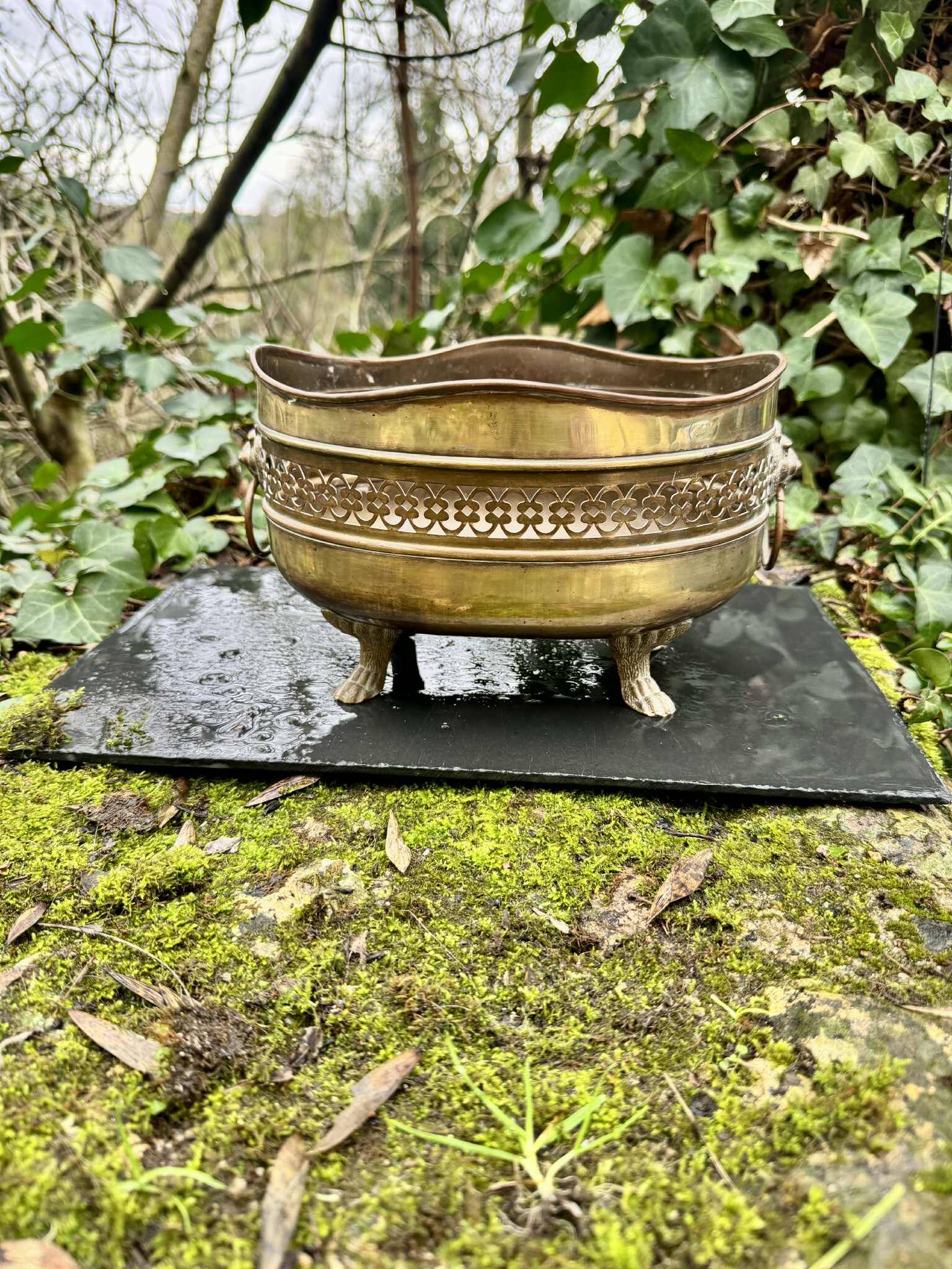 Large brass lion planter from the Napoleonic III era.