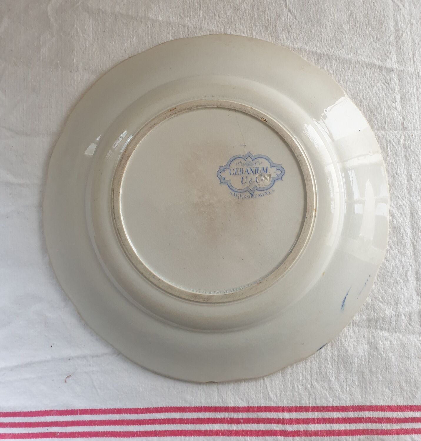 Geranium Saarguemines Iron Earth dish