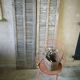 Old wooden shutters