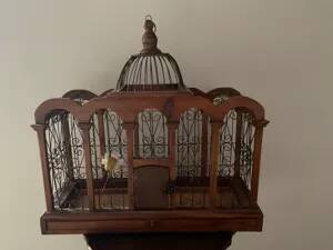 Cage à oiseaux decorative