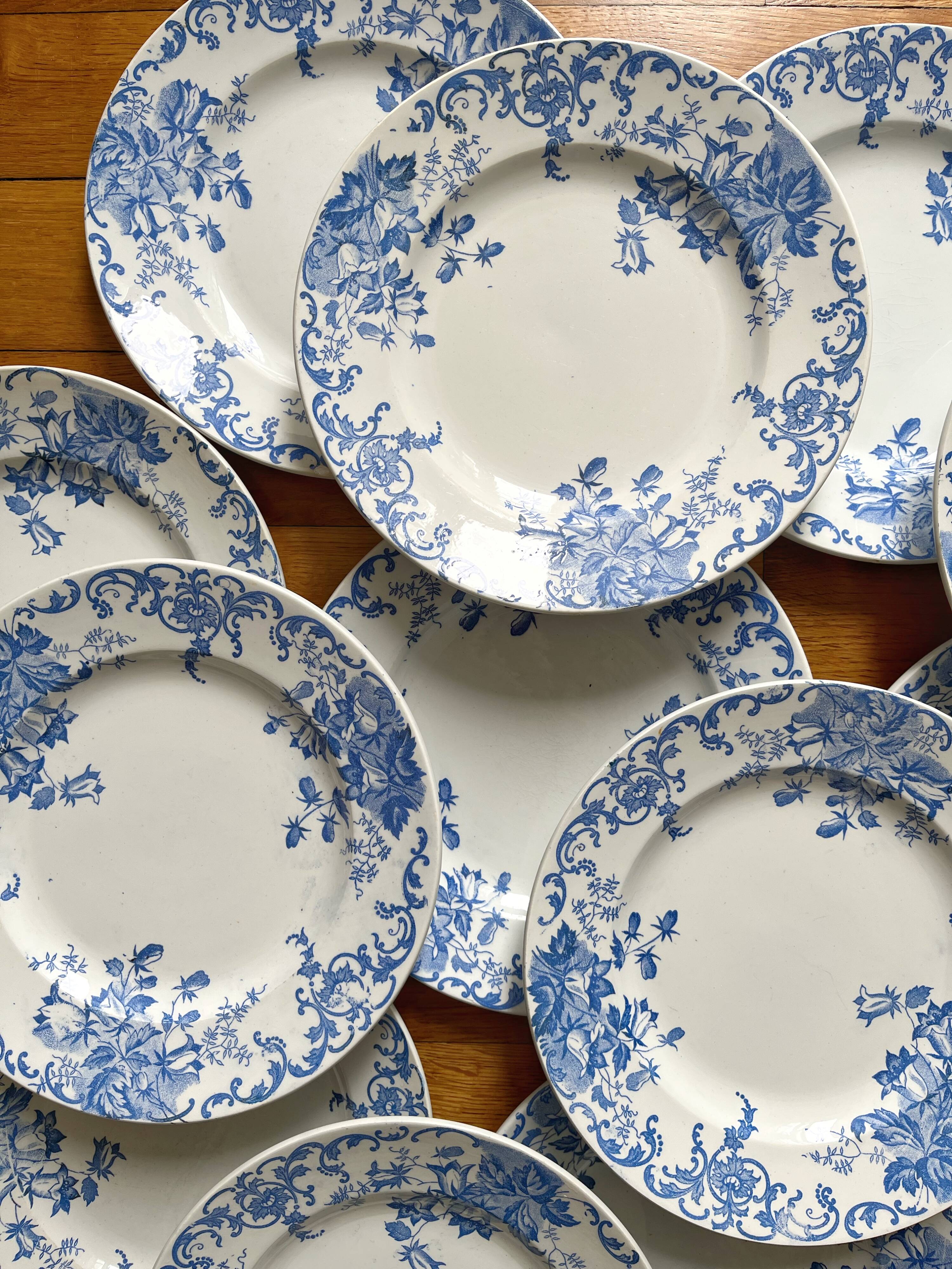 12 small flat plates "Campanule" Saint Amand and Hamage