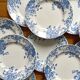 12 small flat plates "Campanule" Saint Amand and Hamage
