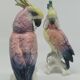 Couple de Cacatoes de Karl Ens