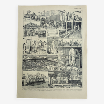 Gravure ancienne, Abattoir d'époque, 1947