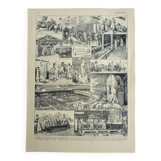 Old engraving, Period slaughterhouse, butchery, meat • Lithograph, Original plate 1947