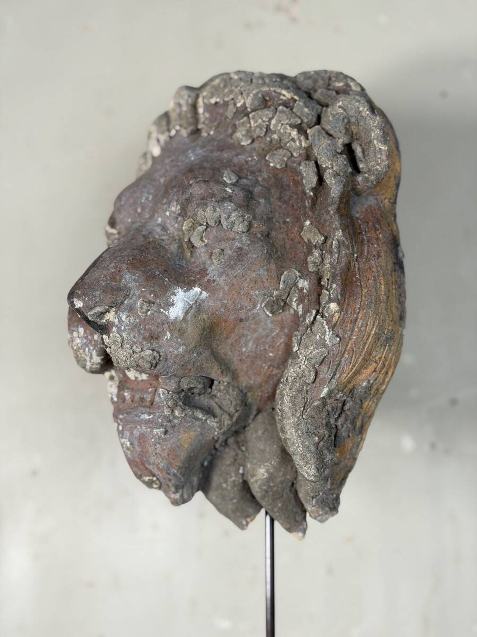 Sculpture en terre cuite, cache-boulin, élément de façade XIXème siècle