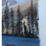 Forest landscape