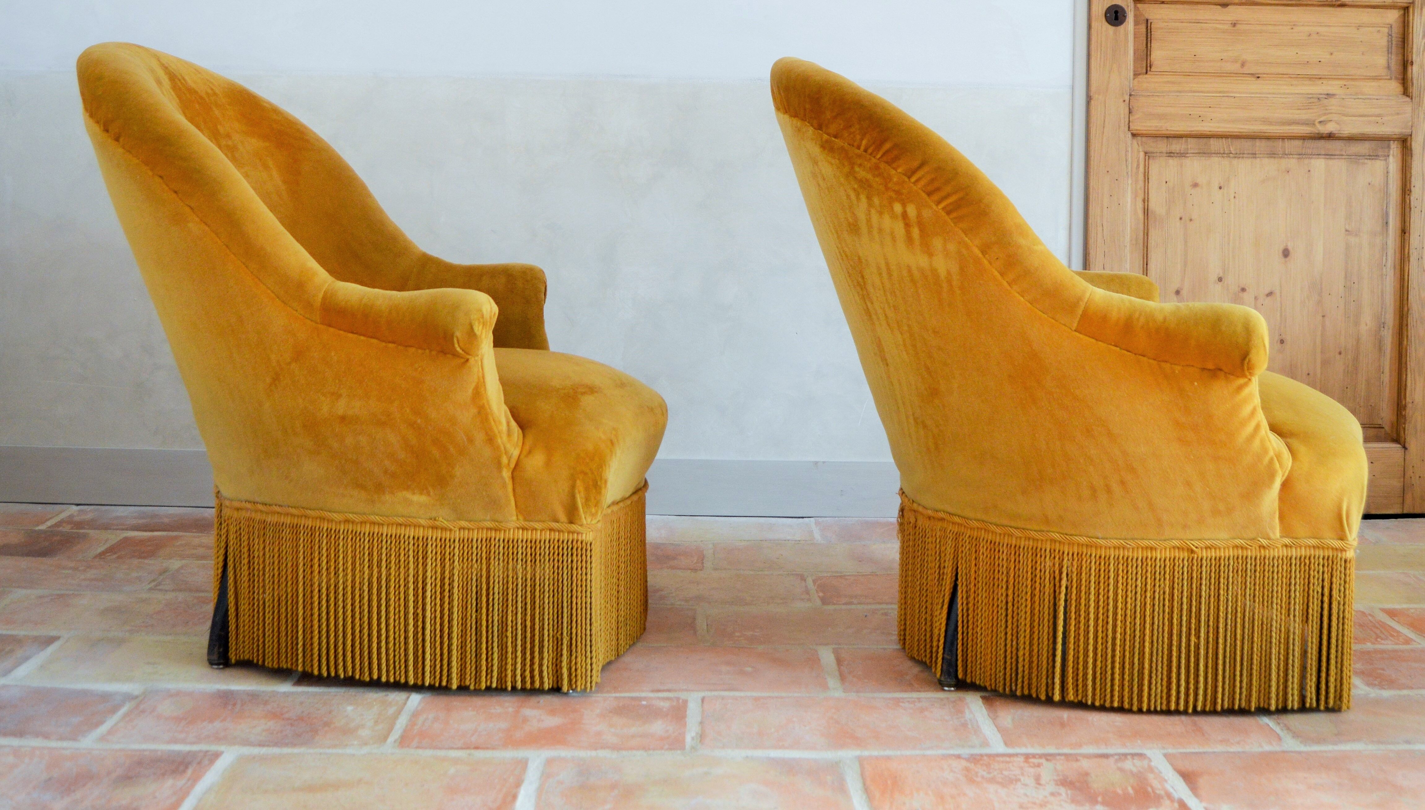 Velvet toad armchairs