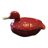 Duck in slip