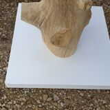 Coat rack driftwood