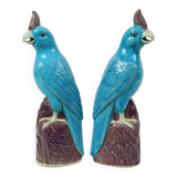 Pair of Turquoise Glazed Parrots Chinese Porcelain 30cm