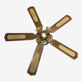 ceiling fan